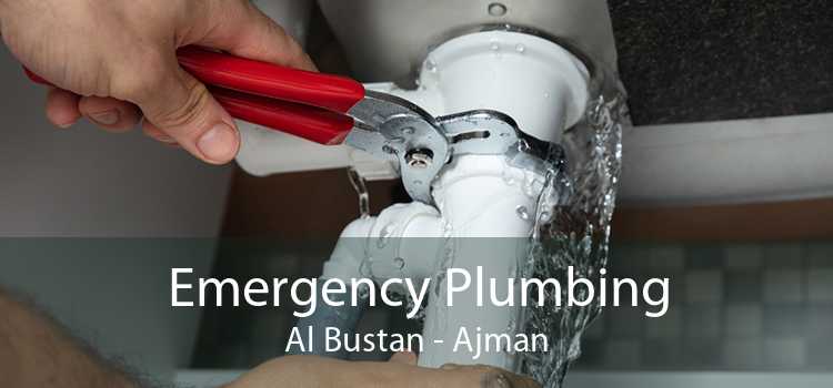 Emergency Plumbing Al Bustan - Ajman