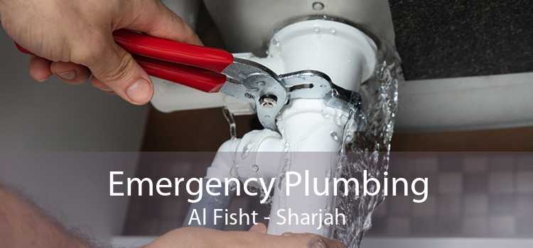 Emergency Plumbing Al Fisht - Sharjah