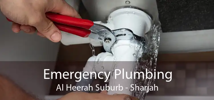 Emergency Plumbing Al Heerah Suburb - Sharjah