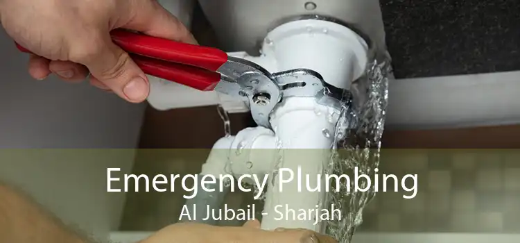 Emergency Plumbing Al Jubail - Sharjah
