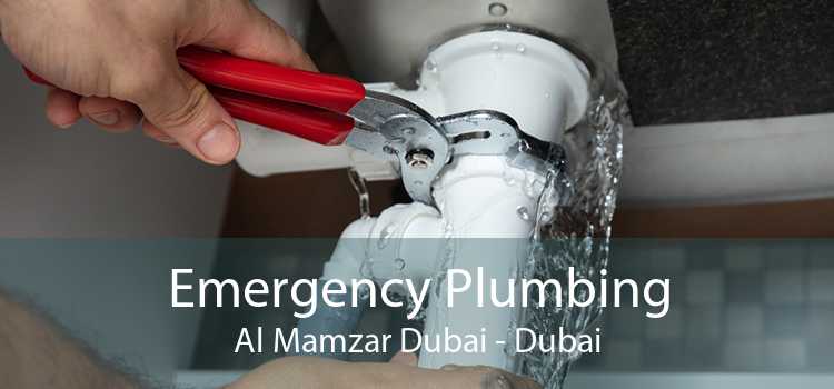 Emergency Plumbing Al Mamzar Dubai - Dubai
