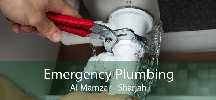 Emergency Plumbing Al Mamzar - Sharjah