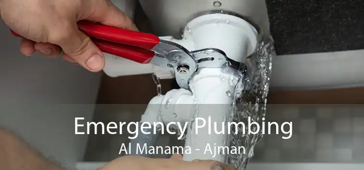 Emergency Plumbing Al Manama - Ajman