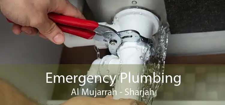 Emergency Plumbing Al Mujarrah - Sharjah