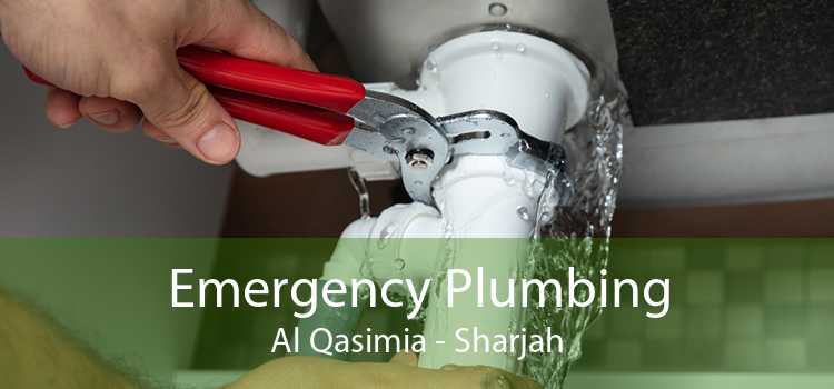 Emergency Plumbing Al Qasimia - Sharjah