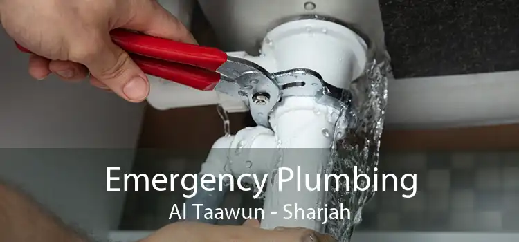 Emergency Plumbing Al Taawun - Sharjah