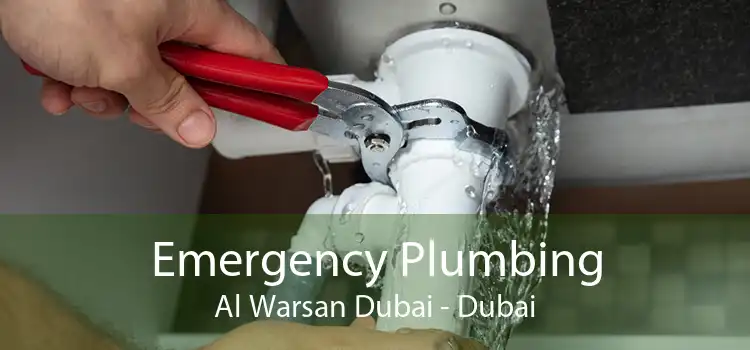 Emergency Plumbing Al Warsan Dubai - Dubai