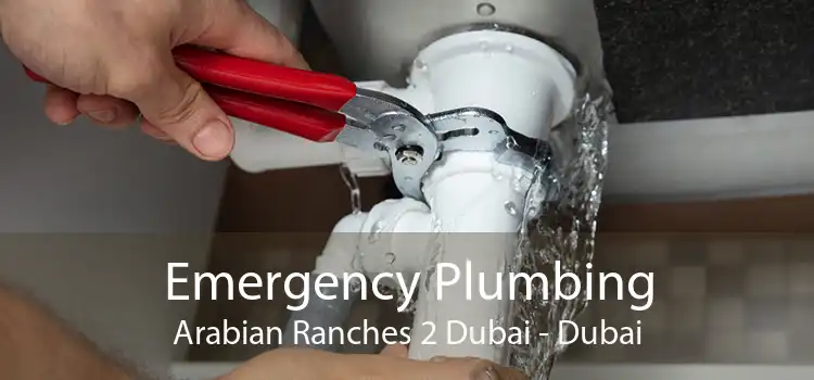 Emergency Plumbing Arabian Ranches 2 Dubai - Dubai
