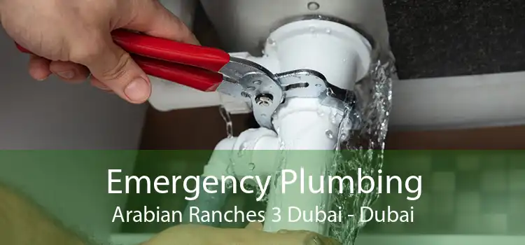 Emergency Plumbing Arabian Ranches 3 Dubai - Dubai