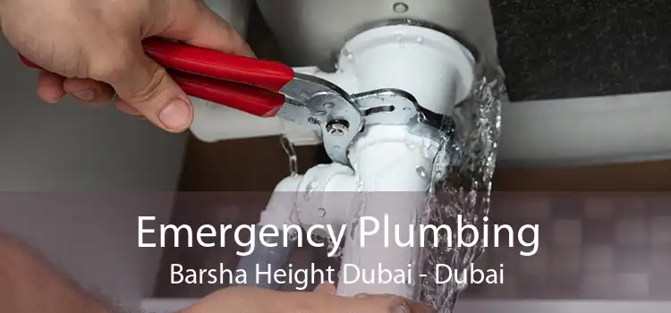 Emergency Plumbing Barsha Height Dubai - Dubai