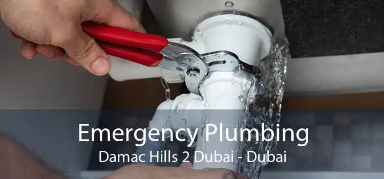 Emergency Plumbing Damac Hills 2 Dubai - Dubai