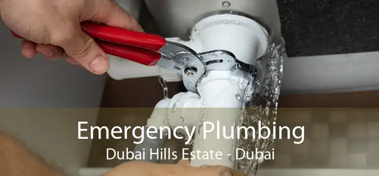 Emergency Plumbing Dubai Hills Estate - Dubai