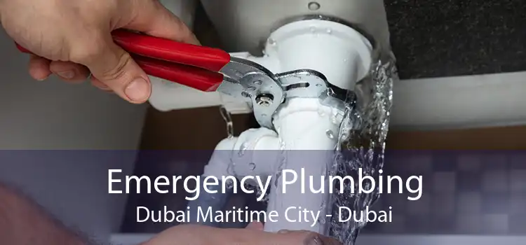 Emergency Plumbing Dubai Maritime City - Dubai