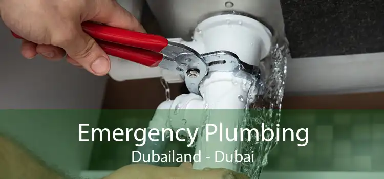 Emergency Plumbing Dubailand - Dubai