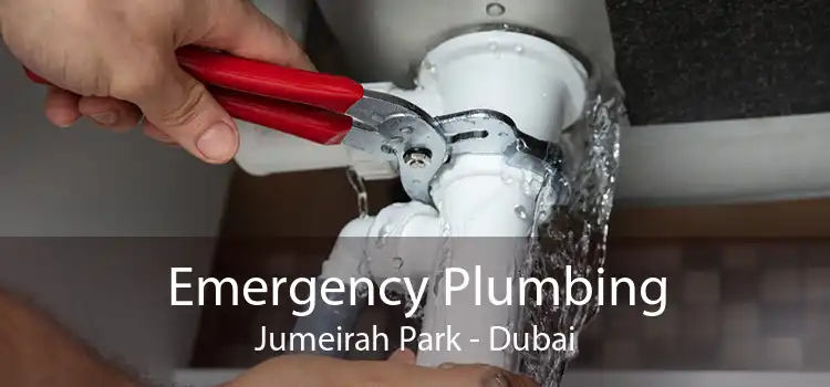 Emergency Plumbing Jumeirah Park - Dubai