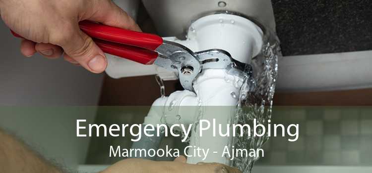 Emergency Plumbing Marmooka City - Ajman