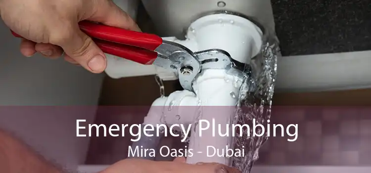 Emergency Plumbing Mira Oasis - Dubai