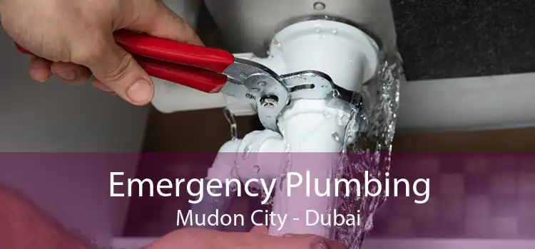 Emergency Plumbing Mudon City - Dubai