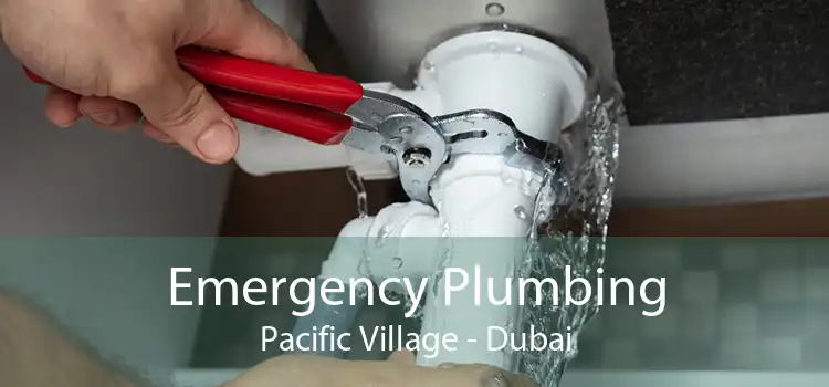 Emergency Plumbing Pacific Village - Dubai