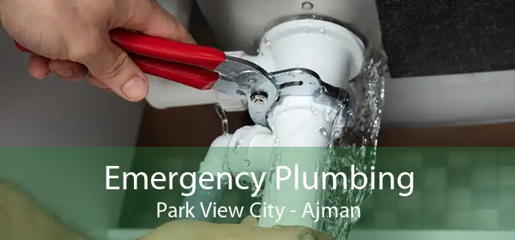 Emergency Plumbing Park View City - Ajman