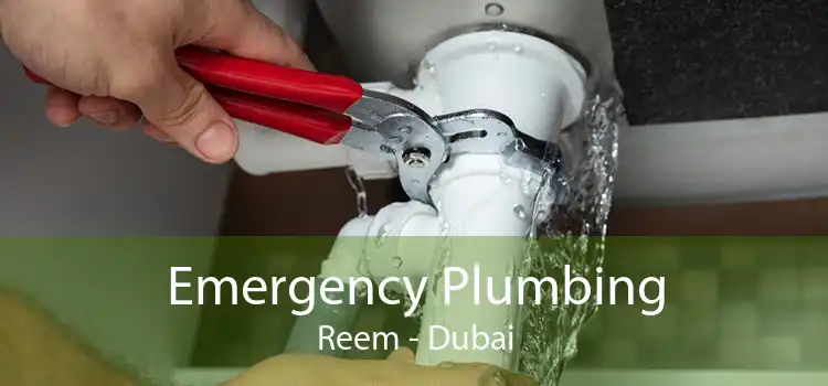 Emergency Plumbing Reem - Dubai