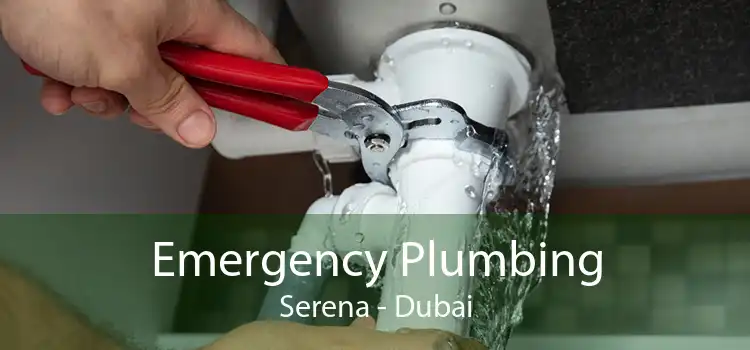 Emergency Plumbing Serena - Dubai