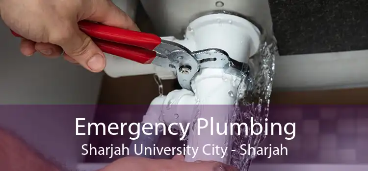 Emergency Plumbing Sharjah University City - Sharjah