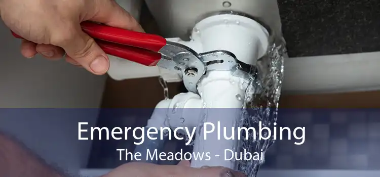Emergency Plumbing The Meadows - Dubai