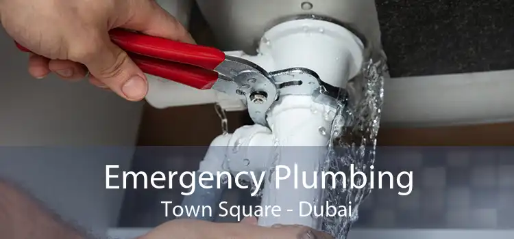 Emergency Plumbing Town Square - Dubai