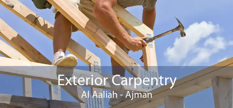 Exterior Carpentry Al Aaliah - Ajman