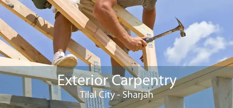 Exterior Carpentry Tilal City - Sharjah