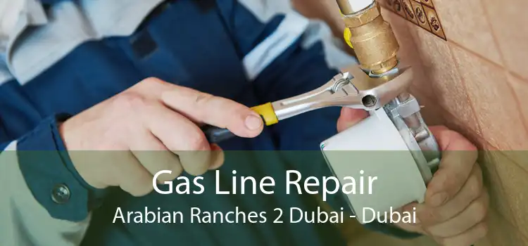 Gas Line Repair Arabian Ranches 2 Dubai - Dubai