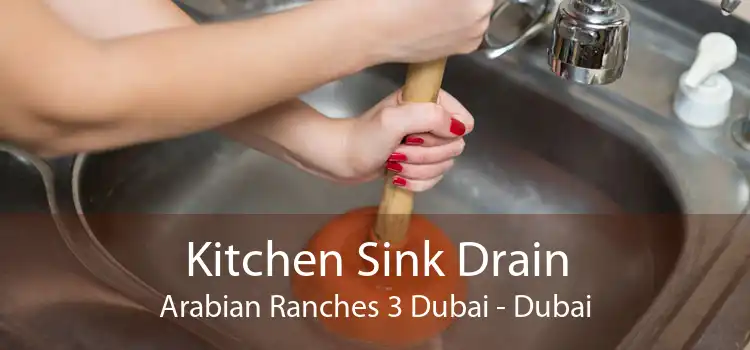 Kitchen Sink Drain Arabian Ranches 3 Dubai - Dubai