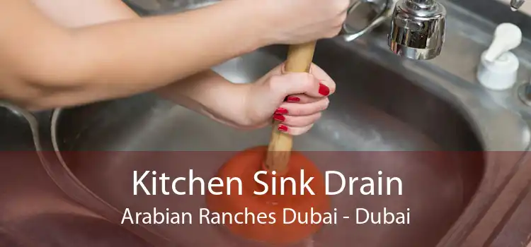 Kitchen Sink Drain Arabian Ranches Dubai - Dubai