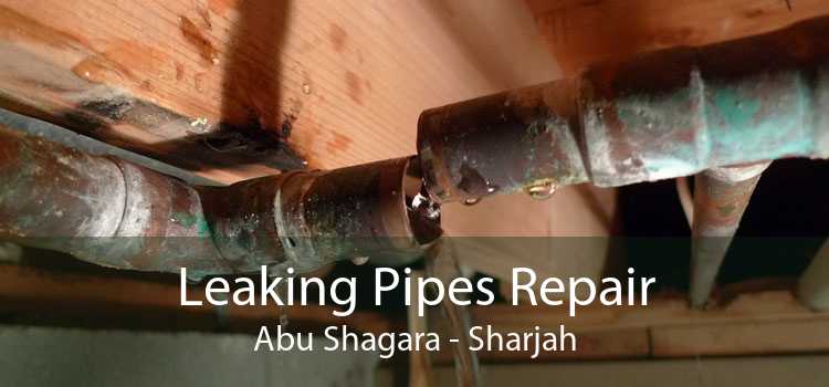 Leaking Pipes Repair Abu Shagara - Sharjah