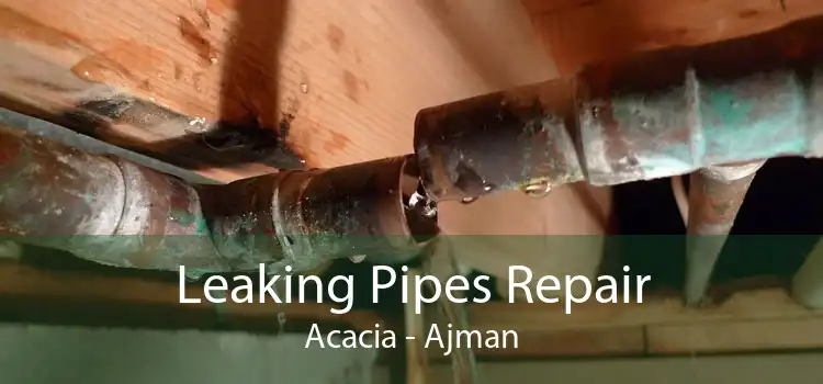 Leaking Pipes Repair Acacia - Ajman