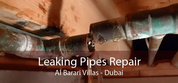Leaking Pipes Repair Al Barari Villas - Dubai