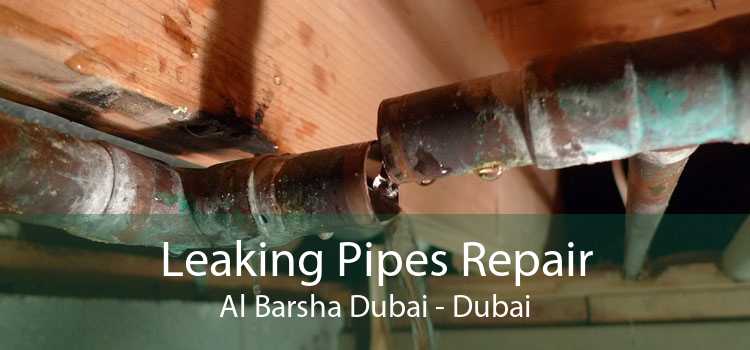 Leaking Pipes Repair Al Barsha Dubai - Dubai
