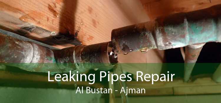 Leaking Pipes Repair Al Bustan - Ajman