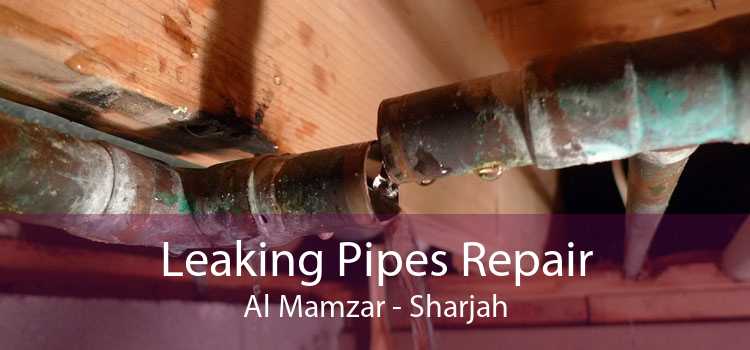 Leaking Pipes Repair Al Mamzar - Sharjah