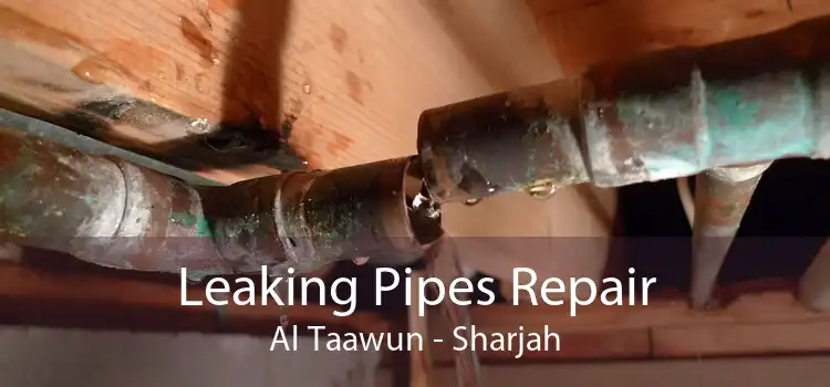Leaking Pipes Repair Al Taawun - Sharjah