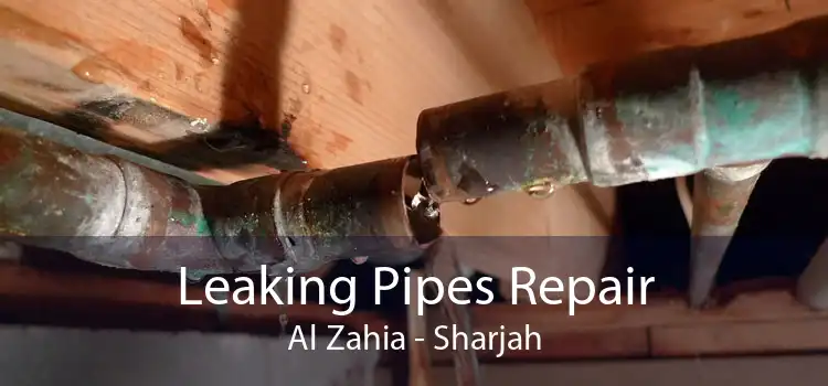Leaking Pipes Repair Al Zahia - Sharjah
