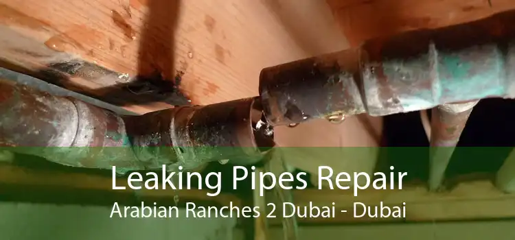Leaking Pipes Repair Arabian Ranches 2 Dubai - Dubai