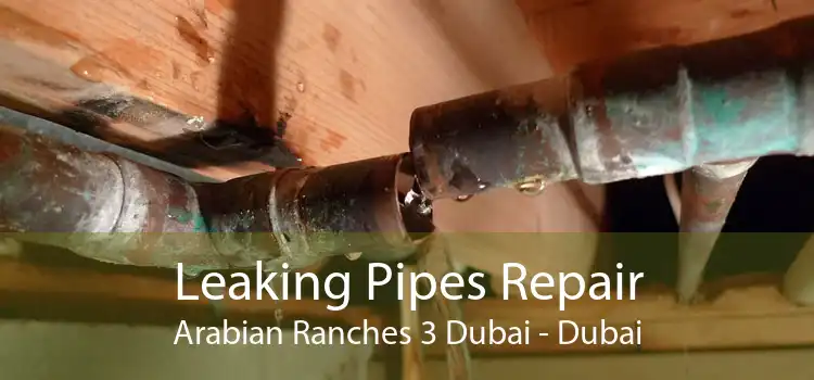 Leaking Pipes Repair Arabian Ranches 3 Dubai - Dubai