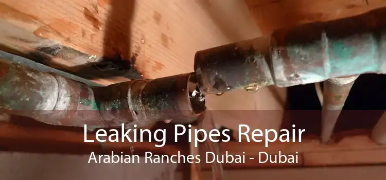 Leaking Pipes Repair Arabian Ranches Dubai - Dubai