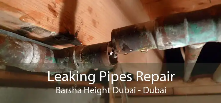 Leaking Pipes Repair Barsha Height Dubai - Dubai