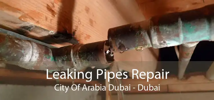 Leaking Pipes Repair City Of Arabia Dubai - Dubai