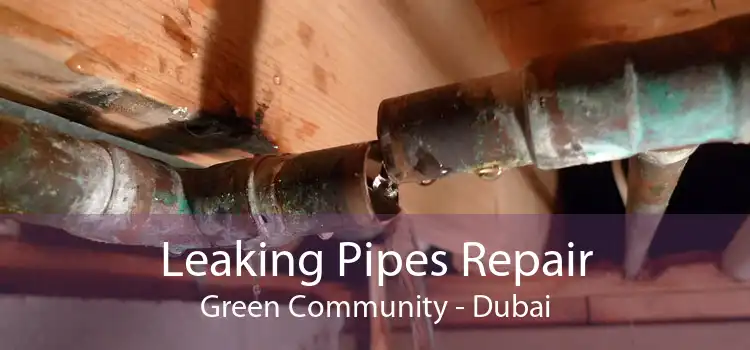 Leaking Pipes Repair Green Community - Dubai