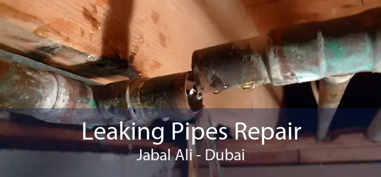 Leaking Pipes Repair Jabal Ali - Dubai
