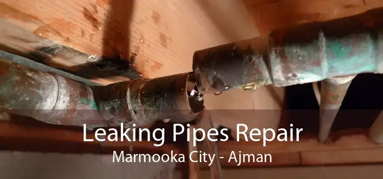 Leaking Pipes Repair Marmooka City - Ajman